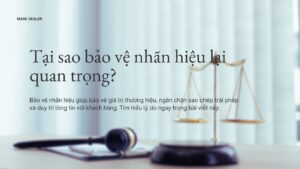 Bảo hộ thương hiệu giúp doanh nghiệp chứng minh quyền độc quyền về sử dụng thương hiệu của doanh nghiệp